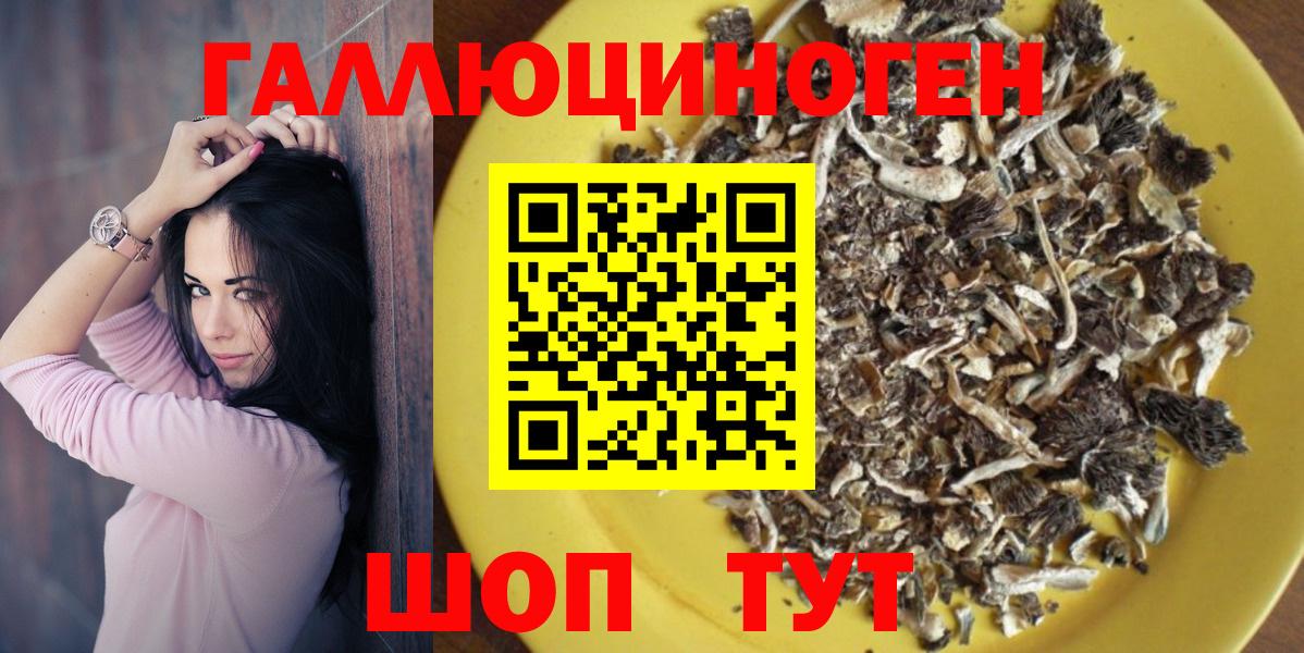 Спасск-Дальний  Галлюциногенные грибы Psilocybe  Вход с VPN 