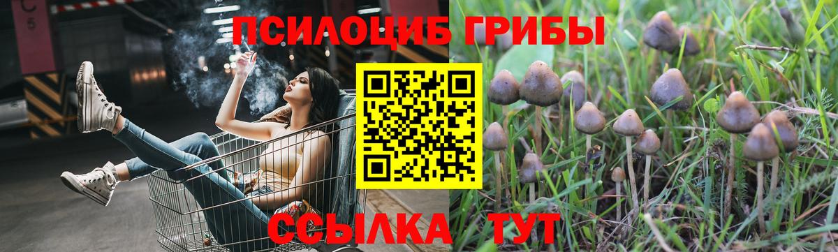 Галлюциногенные грибы прущие грибы Спасск-Дальний